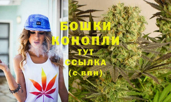 гашик Белоозёрский
