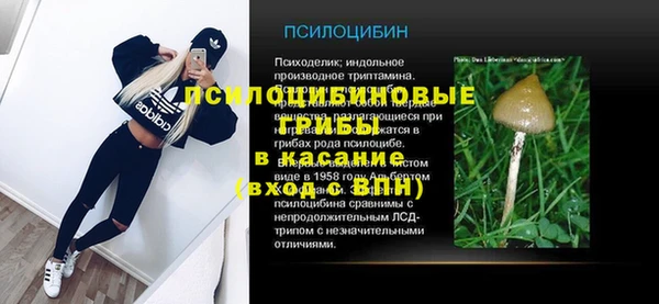 гашик Белоозёрский