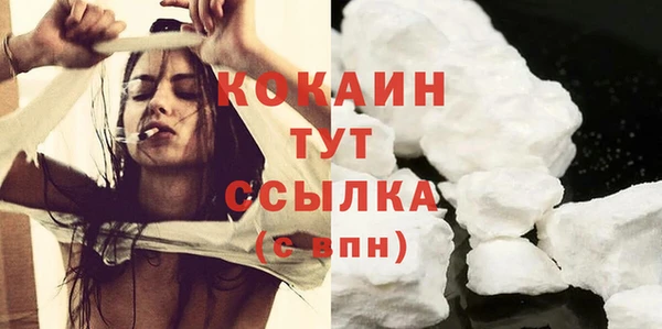 гидропоника Богданович
